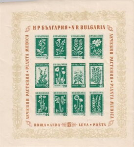 1953N-uKA-G[-J[-upAv-6LV؎-MI-ubN-4-MNH