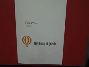 G5356 �~�N���l�V�A 1990 �� �s���S�ؖ� �N�G�X�^�̉� �������Q��