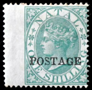 i^[ SC# 50 Vi yqWt IWiK 傫ȗ]t