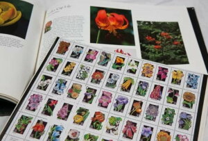 ~jbg}Ao2ȂUSPS؎AtH[Go[AfBYj[FV̗X֗Zbg $331.52