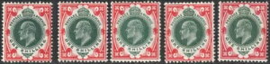 SG 312-4 1/- �T�}�Z�b�g�n�E�X �X�y�V�����C�Y�h �V�F�[�h M47 (1-5) �ǍD�Ńt���b�V�� L.M. �~���g