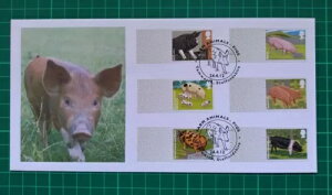 2012 PIGS |XgS[ FDC ^[X Pmk ubNo[Ȃ