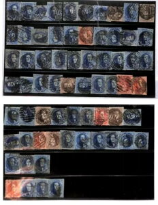 76457 - xM[ - t؎Zbg - J[h2