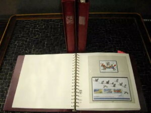 oh 1981 - 2000 ** + LZ hi[TAo3y[W̃RNV