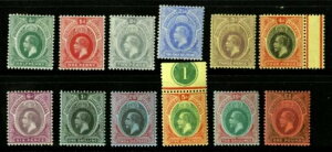 iCWFA암 1912N XRbg #45-56 ~gqWZbg