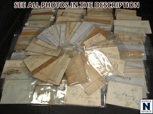 NobleSpirit (JH) ~VKƂ̑ X^vXJo[100̑f炵O[v