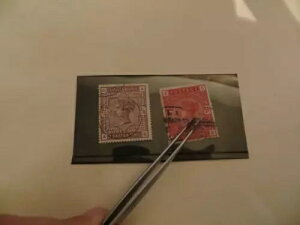 QV \ʈ 1883 2/6VO5/VOiʐ^̒ʂj