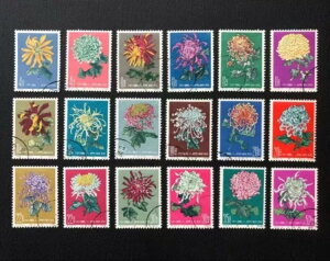 �����؎� 1960�N Flos Chrysanthemi S44 �Z�b�g �L�����Z���Ȃ� �K���R���N�V����