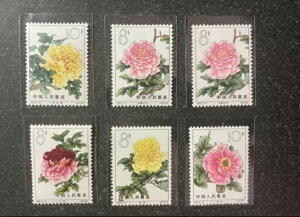 S61 1964N O RNV 6Zbg OG XF Ԑ؎