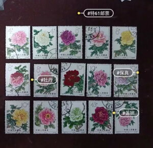 ؎ S61 1964N ỎԃZbg LZ OGRNV