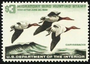 RW32A~g XF/Superb NH 3h_bN؎ - PSEO[h95 * X`A[gEJbc