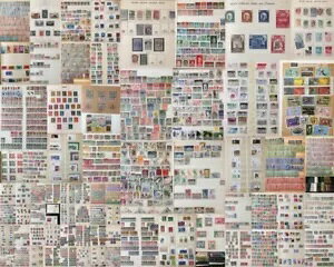 ���E �A�����J �t�����X �x���M�[ �h�C�c ���[�}�j�A ��A�t���J ��^���^/�ŐV�^ (1000�ԑ�) CP311 21kg