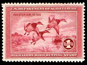 RW2 ~g tFf_bN X^v OGXLH - VF - $375.00 (ESP#6575)