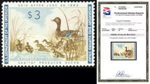 RW28A~g XF/ɏ NH 3 h_bN؎ - O[h 95 PSE ؖ - X`A[gEJbc