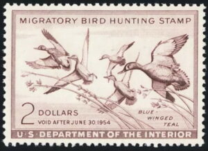 RW20A~g XF/Superb NH 2h_bN؎ - PSAGO[h95 * X`A[gEJbc