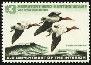 RW32A~g XF/Superb NH 3h_bN؎ - PSEO[h95 * X`A[gEJbc