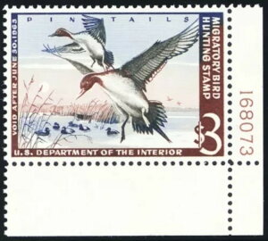 RW29�A�~���gNH XF/�X�[�p�[�u$3�_�b�N�X�^���v - PSE�O���[�h95 * �X�`���A�[�g�E�J�b�c