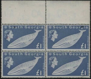 TEXW[WA QEII XRbg 15 SG15 qWȂ