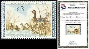 RW28A~g XF/ɏ NH 3 h_bN؎ - O[h 95 PSE ؖ - X`A[gEJbc