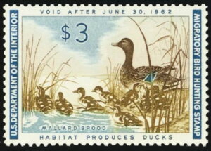 RW28A~g XF/Superb NH 3h_bN؎ - PSEO[h95 * X`A[gEJbc