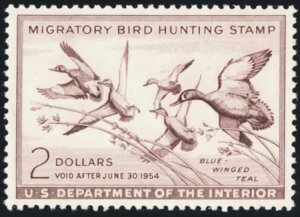 RW20A~g XF/Superb NH 2h_bN؎ - PSAGO[h95 * X`A[gEJbc