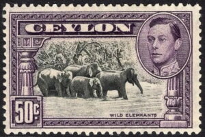 ZC-1938N 50Zg ubN[u p[tH[V 13x13?By}EgꂽViSg 394aF