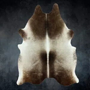 �A�b�V���g�[���̋��v���O