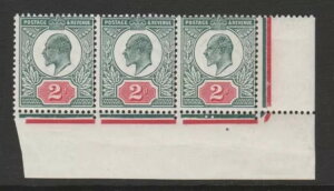 �C�M���X 1911 2d �[���݂��΂Ɩ��邢�J�[�}�C�� SG M13 (3) �~���g