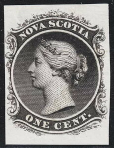 �m�o�X�R�V�A 1�Z���g QV �v���[�g �v���[�t�i�����b�L�j�A�X�R�b�g 8Pv�A�C���h�� VF�A�J�^���O - 400�h��