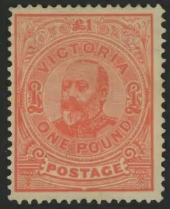 rNgAA~gA#230ALHAN[ŃV[vAZ^[OǍD