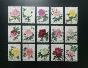 S61 1964N O ؎tZbg RNV Ԑ؎