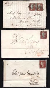 �A�C�������h 1851 �C�M���X �x���t�@�X�g S.G. 8 �I�� �X���[ �J�o�[ 1 �y�A �u���X�g�� & �C���e��