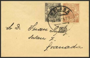 その他のセクション。税金。Fis 24、25をカバー。1901年。黒5カラット、茶10カラット