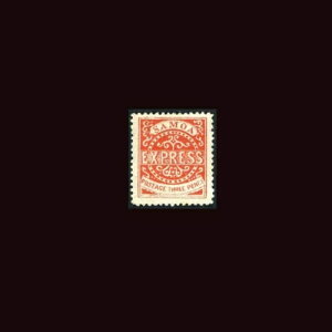TA؎ʏ픭sAMNGAXF XRbg # 3a N[Jbgp[tH[V 11-1/2...