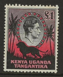K.U.T. SG 150 ���ɓ�� 1938�N �p�[�t�H���[�V���� 11 3/4 x 13 �t�@�C���}�E���g �V�i