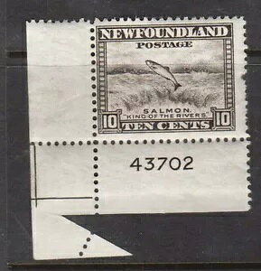 j[t@hh #260 VF ~g A tH[hI[o[ G[