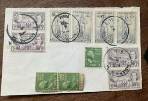 AeB[N؎ 0.01Zg x 3c3Zgc1836~1936x4~& 4~0.03Zg 1636~1936