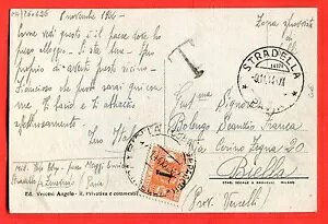 C^A - RSI |XgJ[h SEGNATASSE "FASCETTO" (260696)