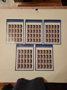 2018NčiEz[LOtH[Go[؎V[g XRbg #5259 5Zbg