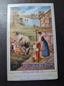 1907N AJO |XgJ[h \ TtVXRp[LX CA JtHjA J E e_[