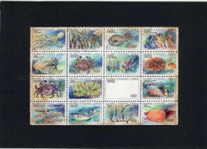 ` 1991 GbZC FLORA  & JT f l_ǗLZ j[N