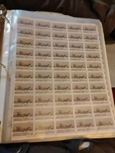 `FL[EXgbvE~g؎V[gi50jAXRbg #1360AMNHAIfGI