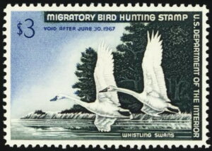 RW33A~g XF/X[p[u NH 3 h_bN؎ - PSE O[h 95 * X`A[gEJbc