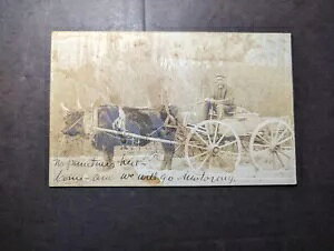 1903NčRPPC|XgJ[hJo[ m[XJCiBTUbWRl`JbgBEH[^[xC܂