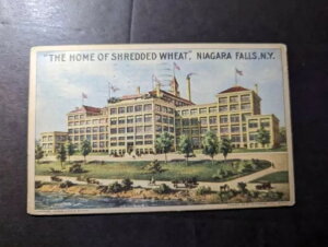 1917NAJO|XgJ[hJo[ j[[NBiCAKtH[YJtHjABT[Xւ̗XփVAH