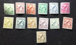 �j���[�M�j�A�I�t�B�V�����YO23-35�ASGO43-54�~���g