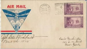 52442 - �A�����J���O�� - ��ꎟ���E���̃p�C���b�g�A�G�f�B�E���b�P���o�b�J�[��т̃T�C������J�o�[