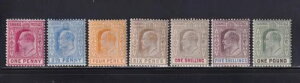 �o�n�}�E�X�R�b�g #37-43 F-VF OG �y�q���W �f�G�ȃJ���[�ISCV 479�h���I�ʐ^���������������I