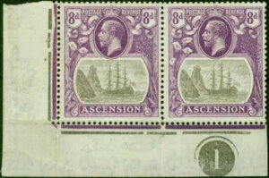 Ascension 1924 8d O[ubN & uCgoCIbg SG17b uTorn Flagv Fine MNH Pl.1 ...