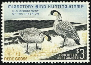 RW31A~g XF/X[p[u NH 3h_bN؎ - PSEO[h95 * X`A[gEJbc